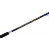 Colmic Deep Queen: Deep Bottom Fishing Rod
