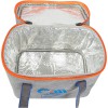 Colmic Grey Essence Cooler Boston 100: Compact Cooler Bag