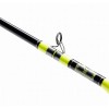 SHIMANO TYRNOS C TROLLING LITE