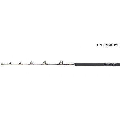 SHIMANO TYRNOS A STAND-UP