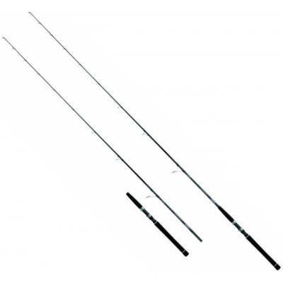 DAIWA SALTIST INSHORE SPINNING