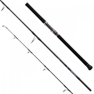 DAIWA 21 SALTIGA CASTING