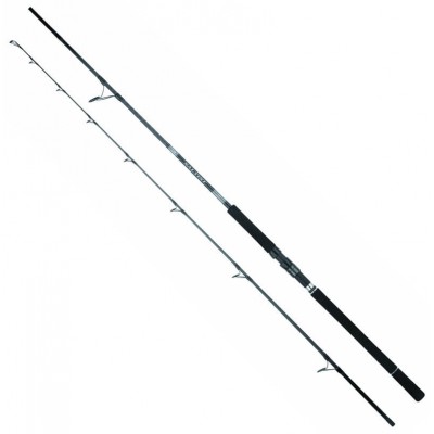 DAIWA 26 SALTIST X SPINNING
