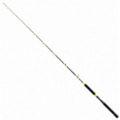 SHIMANO TYRNOS C TROLLING LITE
