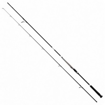 SHIMANO BASSTERRA XT + A SHORE JIGGING