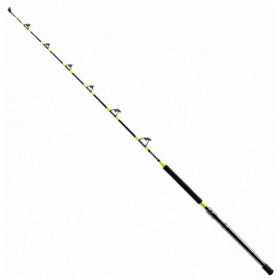 SHIMANO TYRNOS A TROLLING